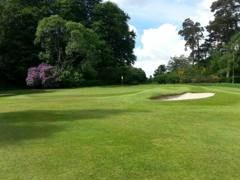 20130605 103001 768x576