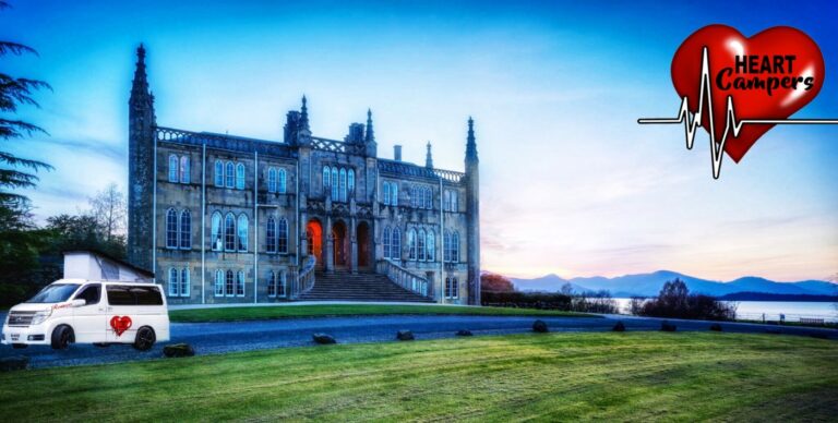 2C8356AD B629 436F 84DC 26C44F1525DD 768x388