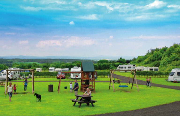 NoahsArk1adj 768x495