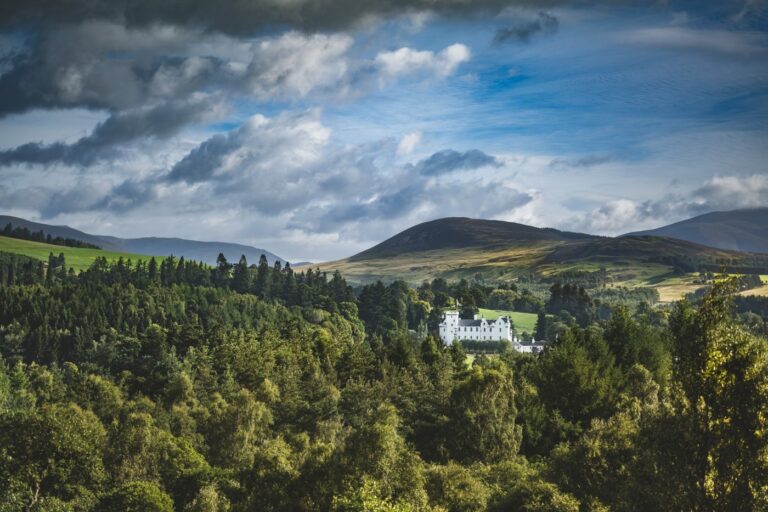 castle 1 768x512