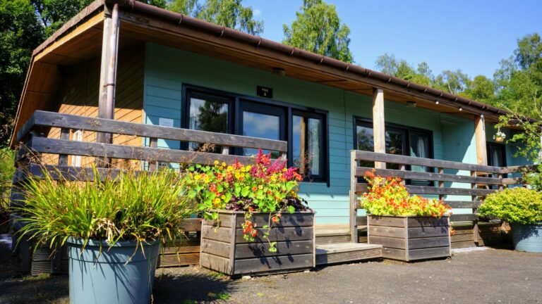 IMG 20220119 WA0011 768x432